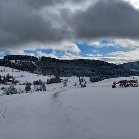 Schwarzwaldstube Appartement Titisee-Neustadt Buitenkant foto