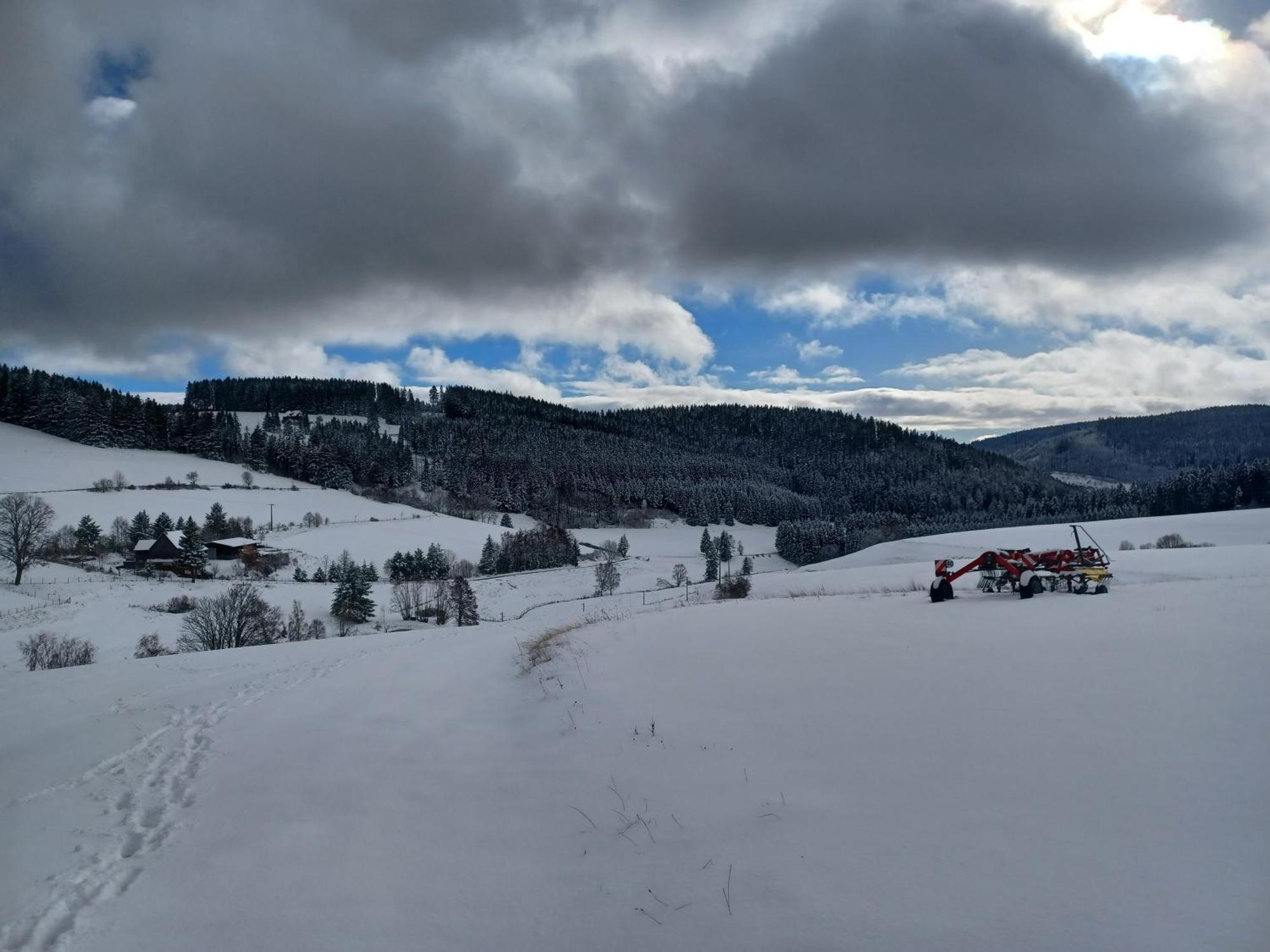Schwarzwaldstube Appartement Titisee-Neustadt Buitenkant foto